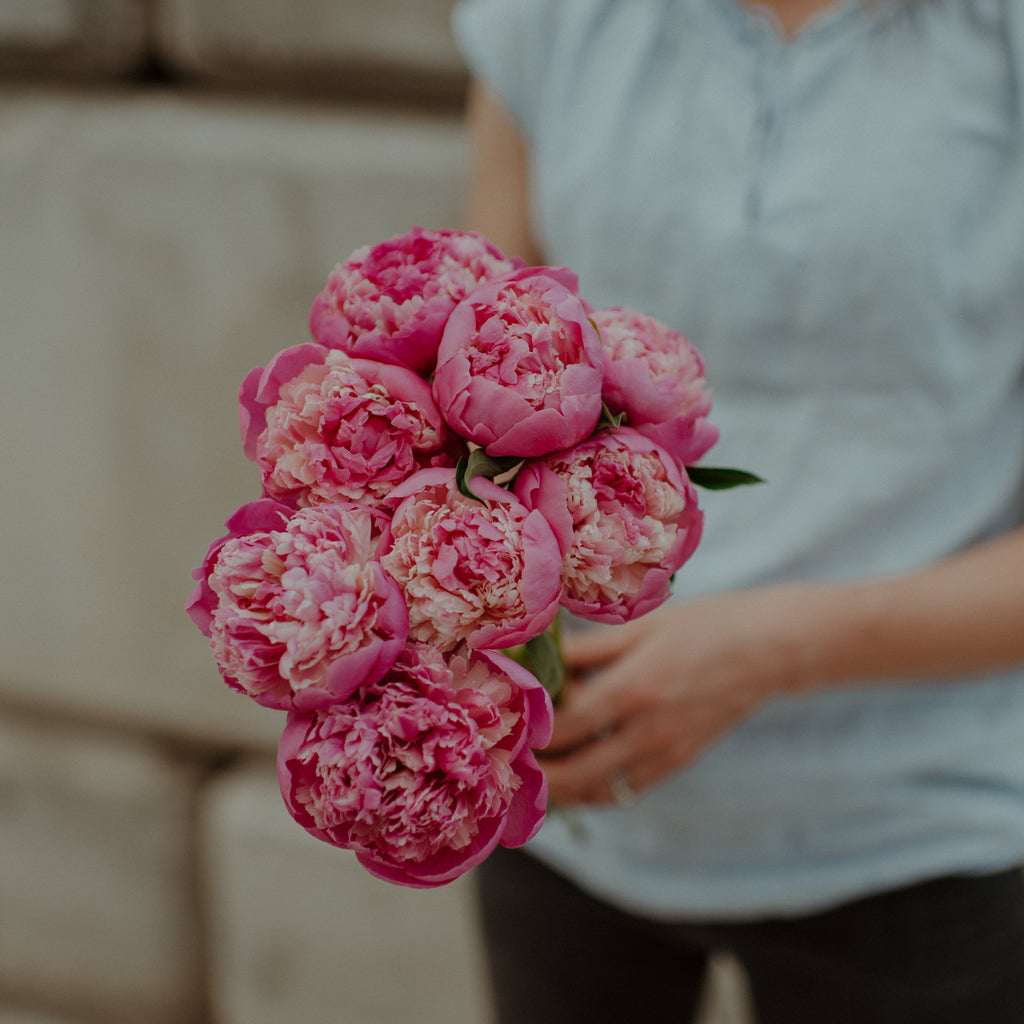 Person holding a bouquet of pink peonies against a neutral background