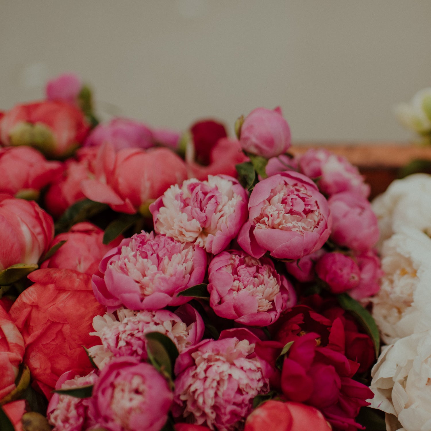 Buckets of peonies against a blurred background
