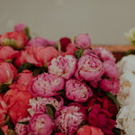 Load image into Gallery viewer, Buckets of peonies against a blurred background
