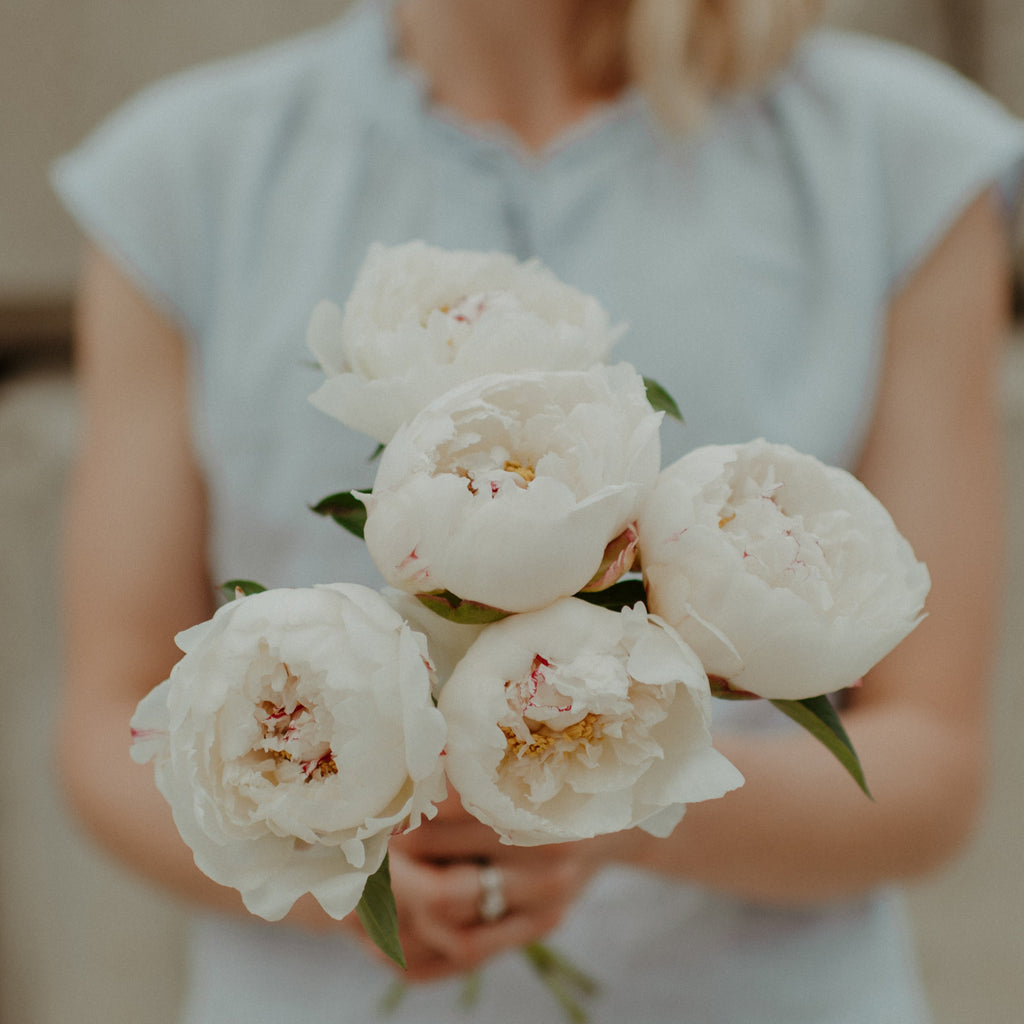Woman holding a bouquet of white peony flowers with a blurred background