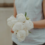 Load image into Gallery viewer, Peony &quot;Madame Claude Tain&quot;
