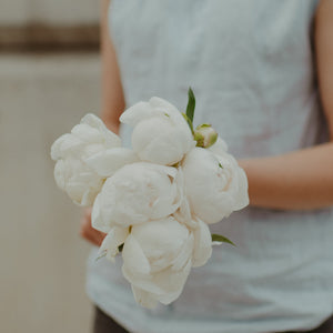 Peony "Madame Claude Tain"