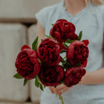 Load image into Gallery viewer, Bouquet of red charm peonies. Red Peony bare roots for sale.
