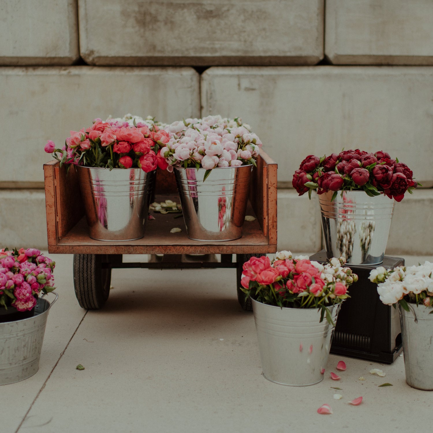 cut peonies in buckets on display.