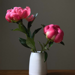 Load image into Gallery viewer, Peony Subscription (with a free gift)
