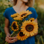 Load image into Gallery viewer, Sunflower Subscription
