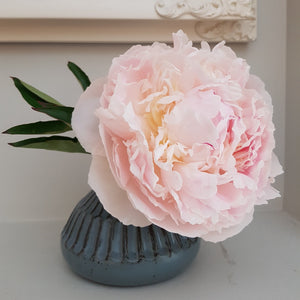 Peony Subscription (with a free gift)